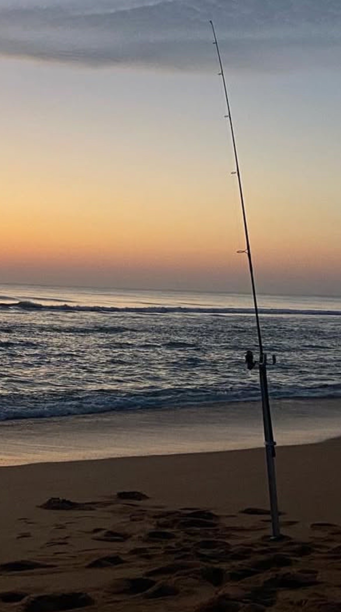 Surf Fishing